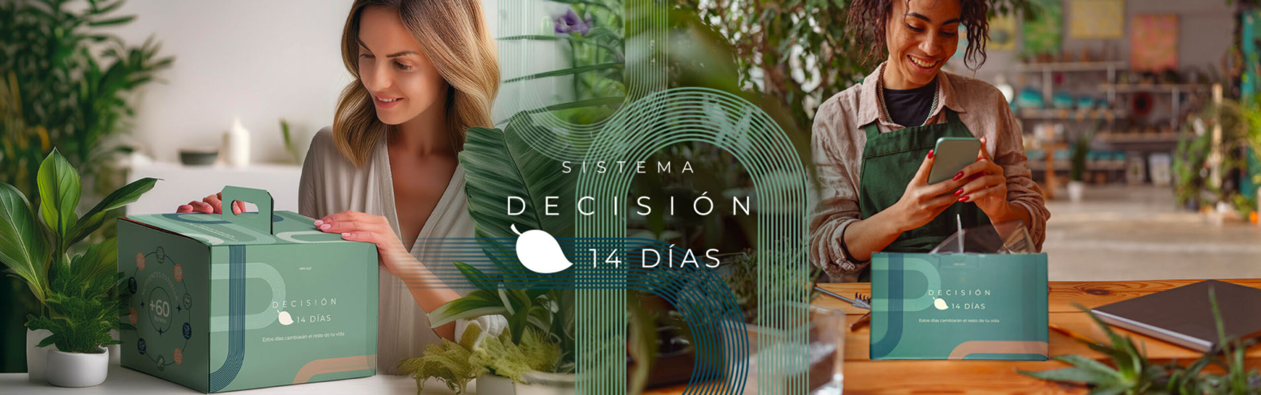 14 días 1.1