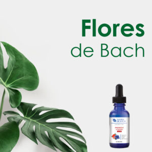 Flores de bach